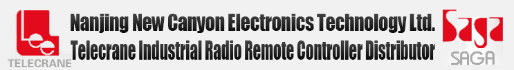 Nanjing New Canyon Electronics Technology Ltd.